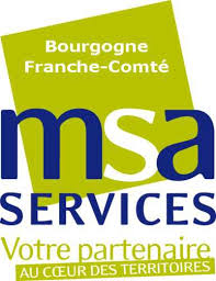 logo-msa-bfc-services